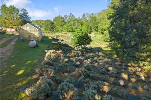 2882 Red Oak Flats Rd, Dahlonega, GA 30533 - Photo 19