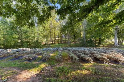 2882 Red Oak Flats Road, Dahlonega, GA 30533 - Photo 57