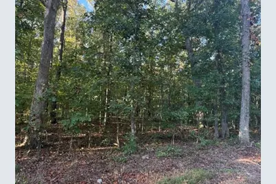 0 Owensby Lane, Adairsville, GA 30103 - Photo 7