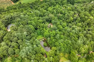 1009 Hefner Lake Rd, Ellijay, GA 30536 - Photo 77