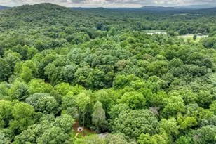 1009 Hefner Lake Rd, Ellijay, GA 30536 - Photo 79