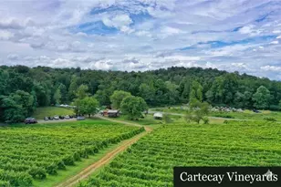 1009 Hefner Lake Rd, Ellijay, GA 30536 - Photo 81