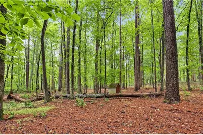 61 Lake Coweta Trail, Newnan, GA 30263 - Photo 47
