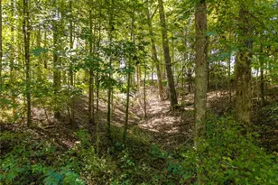 52 Blakes Ln, Talking Rock, GA 30175 - Photo 9