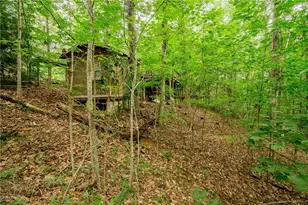 12 Scott Dr, Ellijay, GA 30540 - Photo 35
