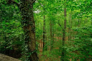 12 Scott Dr, Ellijay, GA 30540 - Photo 43