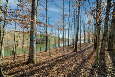 691 Moccasin Gap Road, Jackson, GA 30233 - Photo 9