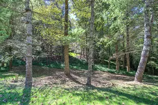 2108 Blackberry Mountain Rd, Ellijay, GA 30536 - Photo 63