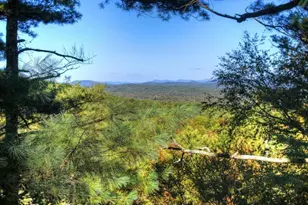 Lt 123 Bell Camp Ridge Rd, Blue Ridge, GA 30513 - Photo 3