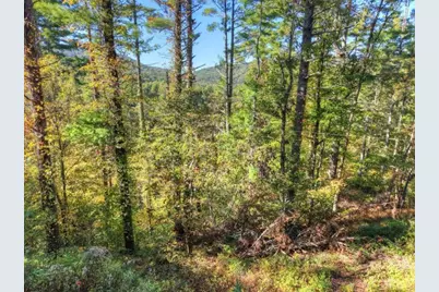 Lt 123 Bell Camp Ridge Road, Blue Ridge, GA 30513 - Photo 5