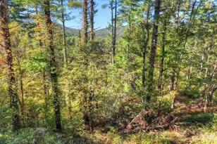 Lt 123 Bell Camp Ridge Rd, Blue Ridge, GA 30513 - Photo 5