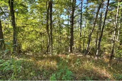 Lt 123 Bell Camp Ridge Road, Blue Ridge, GA 30513 - Photo 7