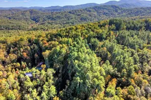 Lt 123 Bell Camp Ridge Rd, Blue Ridge, GA 30513 - Photo 17
