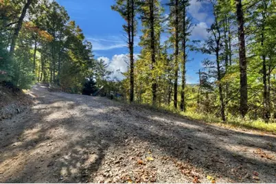 Lt 123 Bell Camp Ridge Road, Blue Ridge, GA 30513 - Photo 13