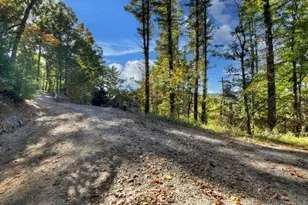 Lt 123 Bell Camp Ridge Rd, Blue Ridge, GA 30513 - Photo 13