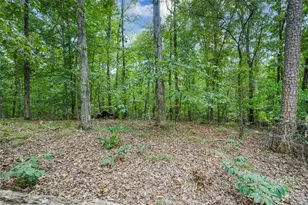 5935 Double Birch, Douglasville, GA 30135 - Photo 57