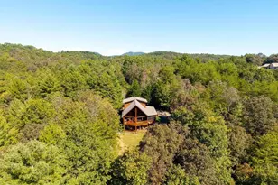 278 Arapaho Walk, Mineral Bluff, GA 30559 - Photo 49