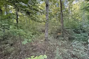 3055 Longstreet Rd, Milton, GA 30004 - Photo 13