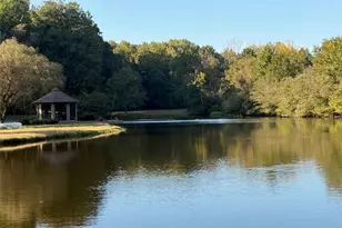 77 Shellhorse Rd SE, Ranger, GA 30734 - Photo 77