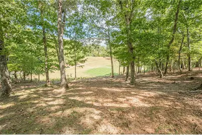 141 Red Cloud Drive, Waleska, GA 30183 - Photo 59