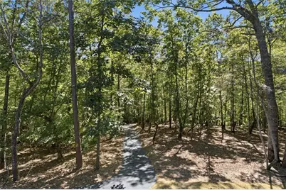 446 Old Village Road, Sautee Nacoochee, GA 30571 - Photo 67