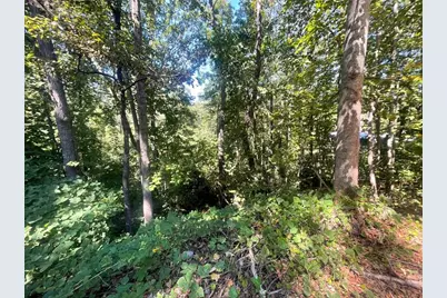 0 Eagle Court, Toccoa, GA 30577 - Photo 7