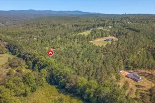 2519 Pleasant Hill Rd, Talking Rock, GA 30175 - Photo 39