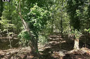 411 Dewberry Ln SE, Lindale, GA 30147 - Photo 11