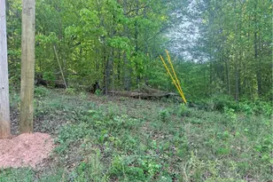 0000 Mountain View Circle, Bremen, GA 30110 - Photo 1