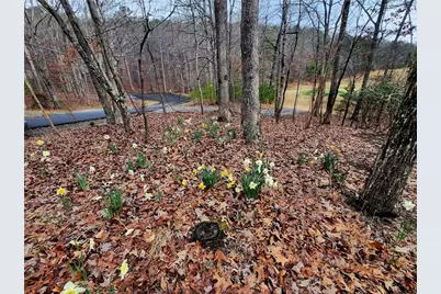 106 Banyon Court, Waleska, GA 30183 - Photo 59