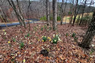 106 Banyon Ct, Waleska, GA 30183 - Photo 59