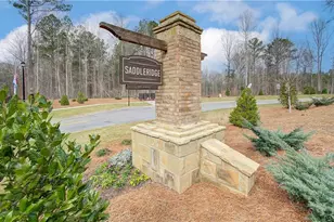 117 Homesite Saddle Dr, Senoia, GA 30276 - Photo 51