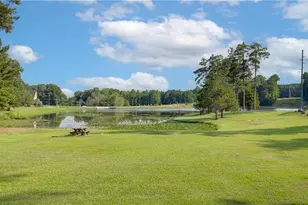 117 Homesite Saddle Dr, Senoia, GA 30276 - Photo 45