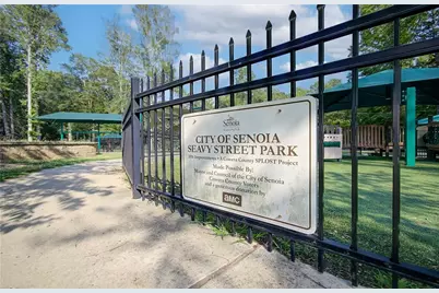 117 Homesite Saddle Drive, Senoia, GA 30276 - Photo 47