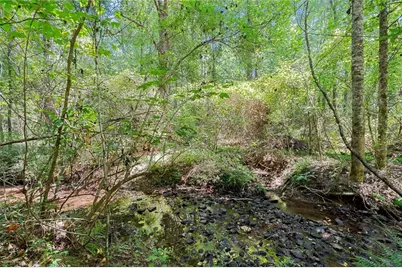 125 Kevins Drive, Hampton, GA 30228 - Photo 39