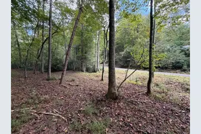133 Seneca Drive, Ellijay, GA 30540 - Photo 9