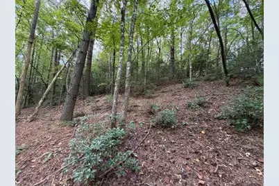 133 Seneca Drive, Ellijay, GA 30540 - Photo 15