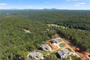30 Overlook Cove, Dahlonega, GA 30533 - Photo 69