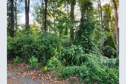 523 Spruce Drive, Pine Lake, GA 30072 - Photo 3
