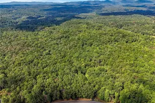 718 Ben Higgins Rd, Dahlonega, GA 30533 - Photo 49