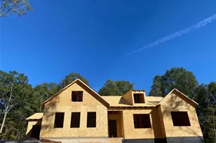 427 Michael Etchison Rd, Monroe, GA 30655 - Photo 1