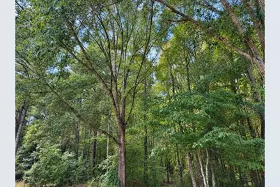 [Address not provided], Senoia, GA 30276 - Photo 5