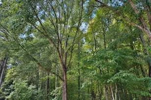 [Address not provided], Senoia, GA 30276 - Photo 5