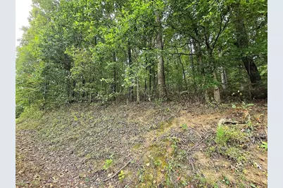 0 Big Oak Tree Road, Adairsville, GA 30103 - Photo 5