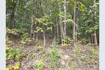 0 Big Oak Tree Road, Adairsville, GA 30103 - Photo 9