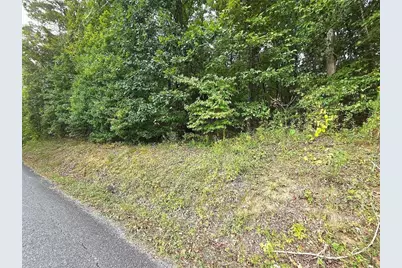 0 Big Oak Tree Road, Adairsville, GA 30103 - Photo 3