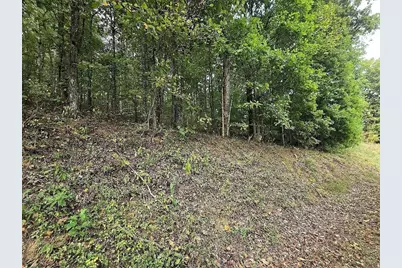 0 Big Oak Tree Road, Adairsville, GA 30103 - Photo 1