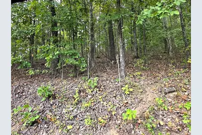 0 Big Oak Tree Road, Adairsville, GA 30103 - Photo 7