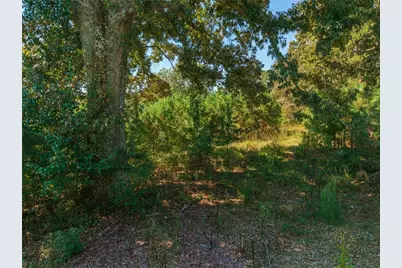 0 Wallace Tatum Road, Cumming, GA 30028 - Photo 23