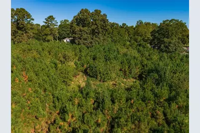 0 Wallace Tatum Road, Cumming, GA 30028 - Photo 21